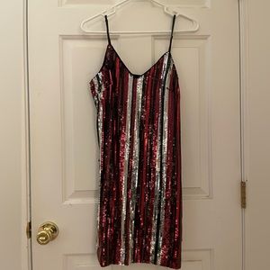 Wild Luxe Sequin Stripe Mini Dress